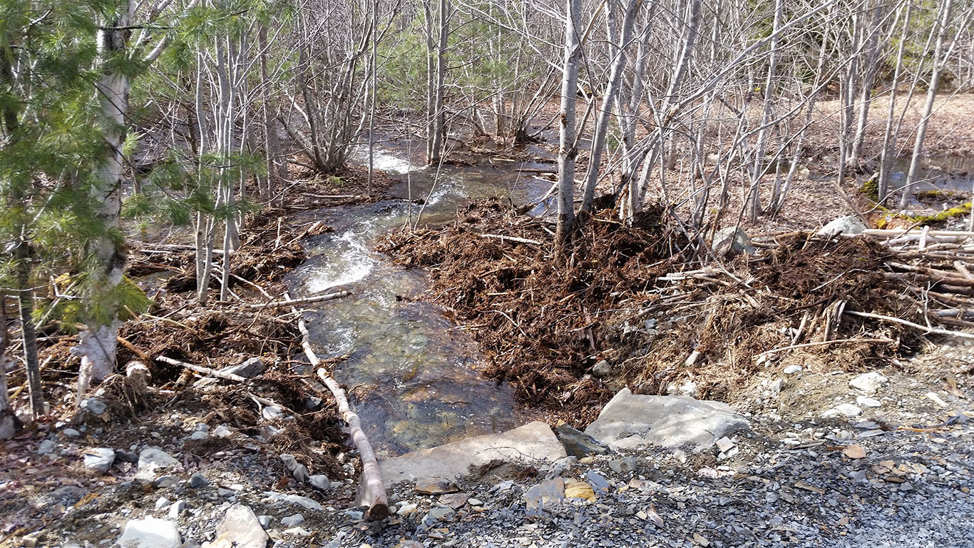 Culvert, downstream flowing well