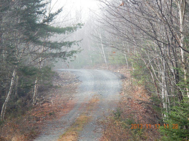 The end (north) of the 2013 work looking south.